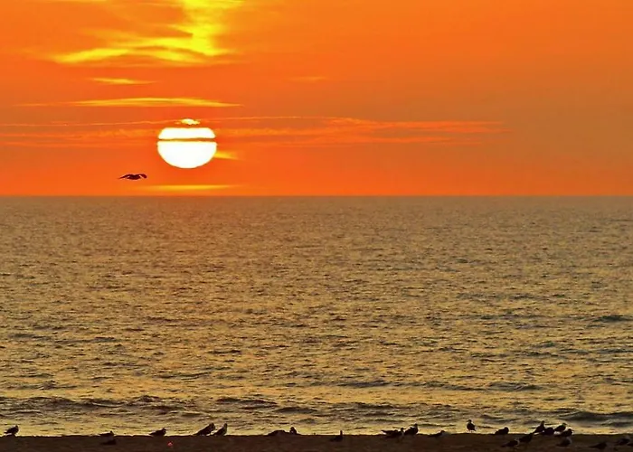 & Parque de Campismo Torreira